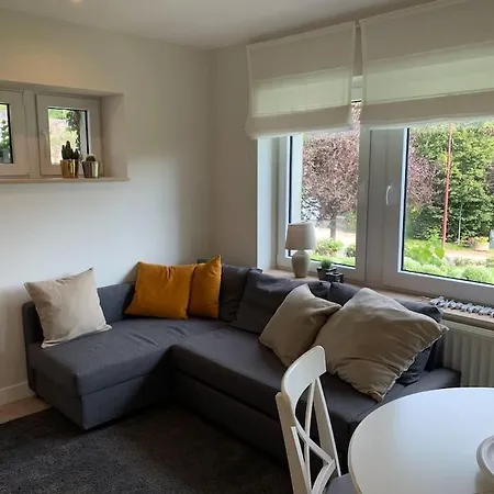 Les Rhododendrons Waimes