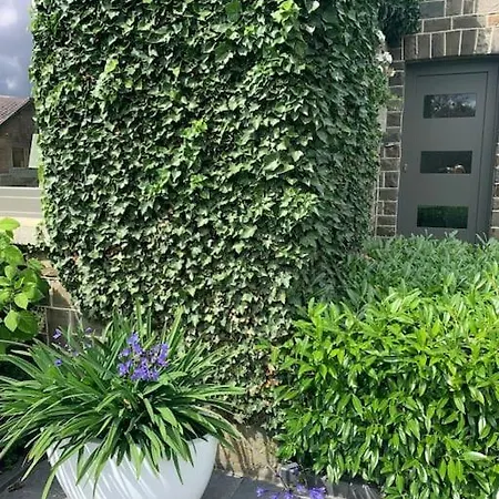 Les Rhododendrons Διαμέρισμα Waimes